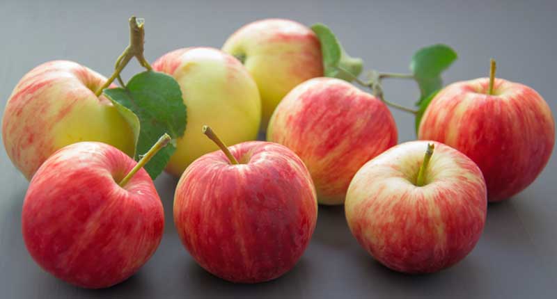Apples - Food Starting With A
