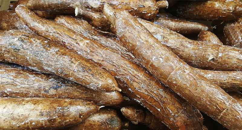 Arrowroot - Food Starting With A