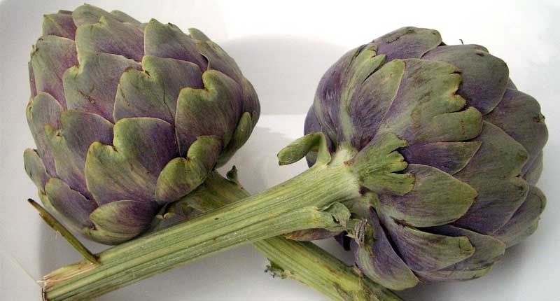 Artichoke - Food Starting With A