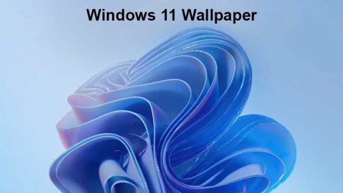 windows 11 themes download free